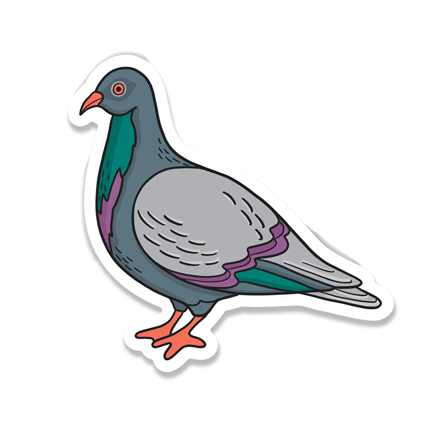 Pigeon Sticker