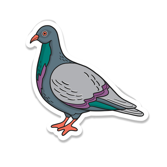 Pigeon Sticker